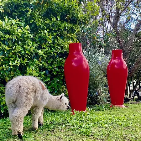Les Bergeries De פיגארי