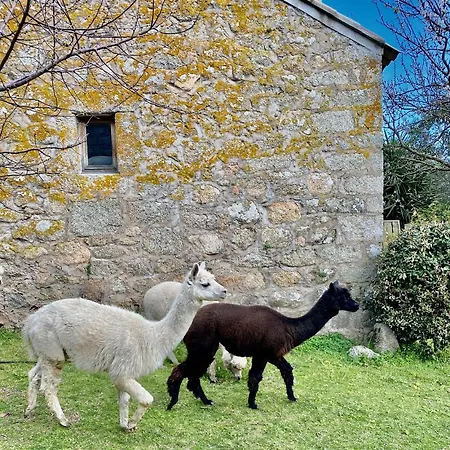 מלון Les Bergeries De פיגארי