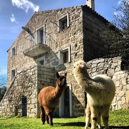 Les Bergeries De * Figari (Corsica)