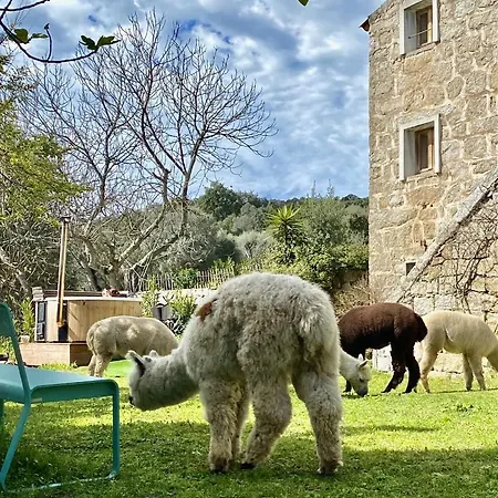 Hotel Les Bergeries De Figari