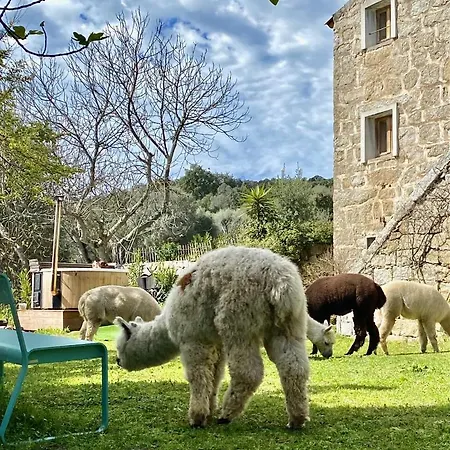 Hotel Les Bergeries De