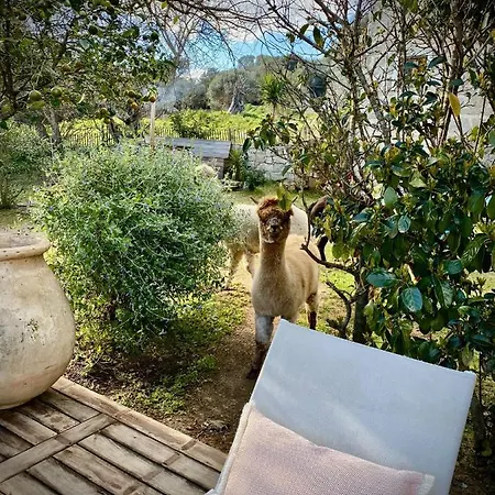Les Bergeries De Figari