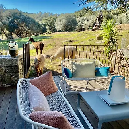 Les Bergeries De Figari Hotel