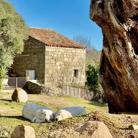 Les Bergeries De Figari Hotel