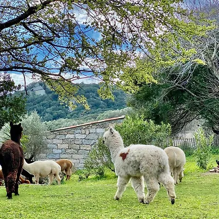 Les Bergeries De Figari *