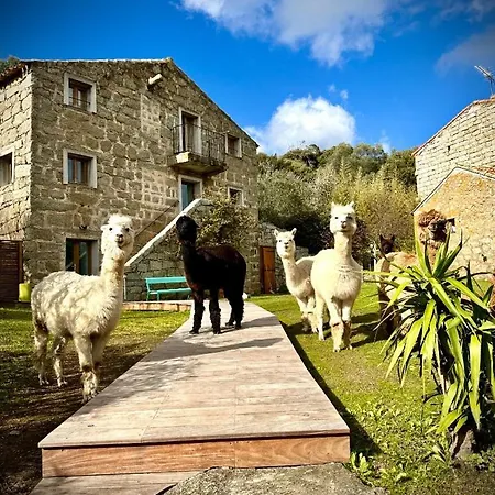 Les Bergeries De Figari Figari (Corsica)