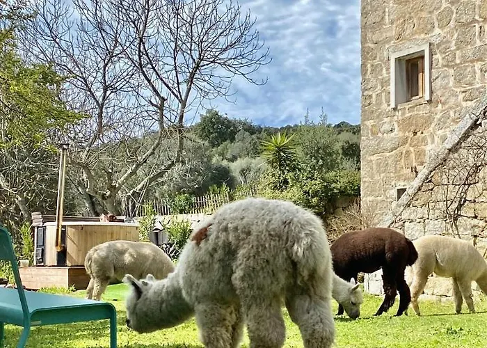 Hotel Les Bergeries De