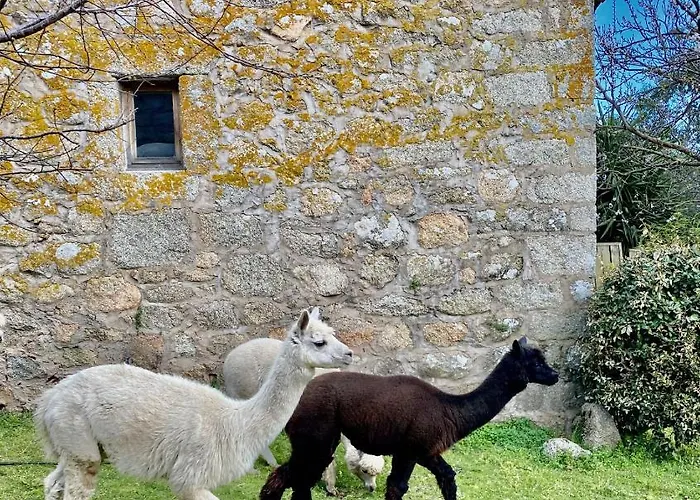 Hotel Les Bergeries De Figari (Corsica)