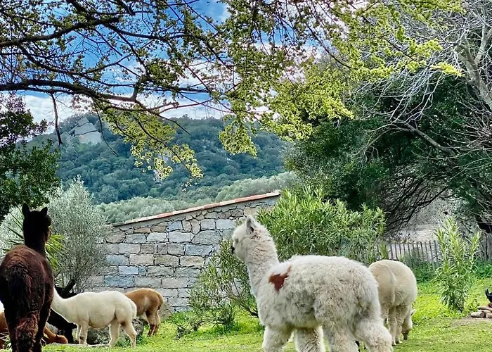 Les Bergeries De *